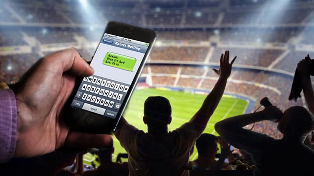 Netting Wins Online: The Ultimate Soccer Betting Experience